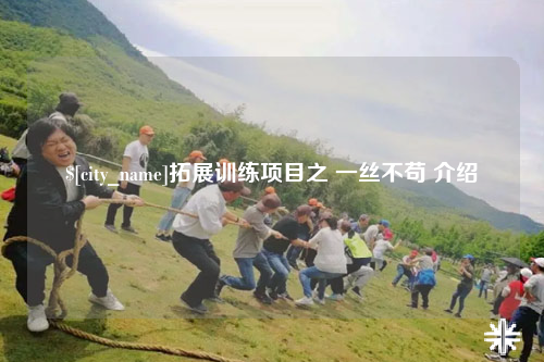 拓展训练项目之 一丝不苟 介绍